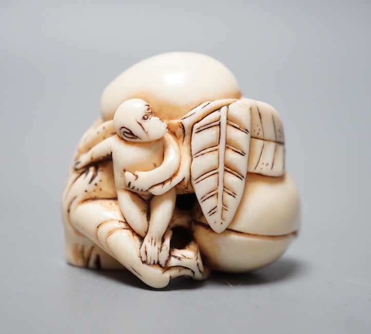 An 18th / 19th Chinese ivory 'monkey and peach' toggle. 4cm